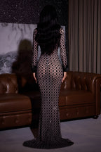 Sheer Geometric Pattern Long Sleeve Floor Length Evening Gown