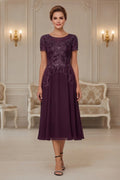 Elegant Lace Embroidery Illusion Neckline Midi Formal Dress