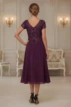 Elegant Lace Embroidery Illusion Neckline Midi Formal Dress