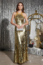 Shimmering Fringe Embellished Floor-Length Evening Gown