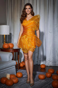 Sculptural Asymmetrical Mini Dress with Sheer Ruffled Detailing