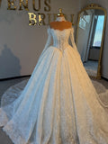 Princess Long Sheer Lace Sleeve Corset Ball Gown Wedding Dress With Sparkling Lace Fabric