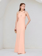 Salmon Chiffon Halter Neck Sleeveless Floor Length Dress With Floral Embellished