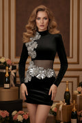 Embellished Flower Velvet Mini Dress with Sheer Mesh Waist