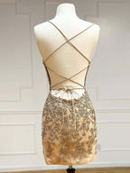 Stormy Lace Spaghetti Straps Tight Short Corset Homecoming Dress
